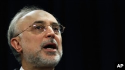 伊朗外長薩利希(資料圖片)