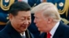 Trump expects visit from Chinese President Xi without giving timeline