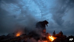 马来西亚班机在东乌克兰坠毁