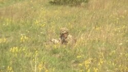 川普与普京会面 波罗的海国家忧心忡忡