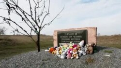 Russian Ministry Praises MH17 Malaysian Conspiracy Book