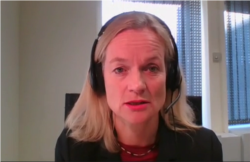 歐洲議會議員薇歐拉·馮·克拉蒙