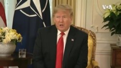 特朗普抨擊馬克龍北約“腦死”說