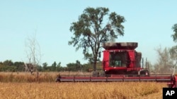 南達科他州的一個農戶在收割大豆。（資料圖片）