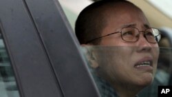 刘霞 (资料照片)