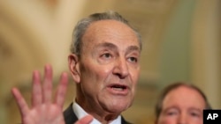 资料照:参议院少数党领袖舒默。