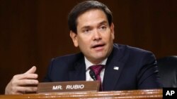 共和黨聯邦參議員魯比奧（Sen. Marco Rubio, R-FL）星期三（8月26日）發表投書稱，無論是微軟或是其它美國公司收購TikTok，特朗普政府限制TikTok的行政命令都是受歡迎的舉措。