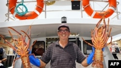 一名西澳大利亞的漁民漁向顧客展示他在船上捕獲的活體岩龍蝦。據估計約97.7%的澳洲活體岩龍蝦出口銷往中國，北京的禁令嚴重影響漁民生計。 (法新社：2020年12月10日)