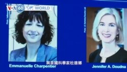 VOA國際60秒(粵語): 2020年10月7日