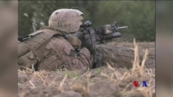 美軍空襲打死了IS阿富汗頭目薩伊德 (粵語)