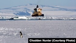 Ледокол у берегов Антарктиды.