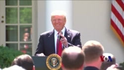 美国一些州和城市表示继续执行巴黎气候协议