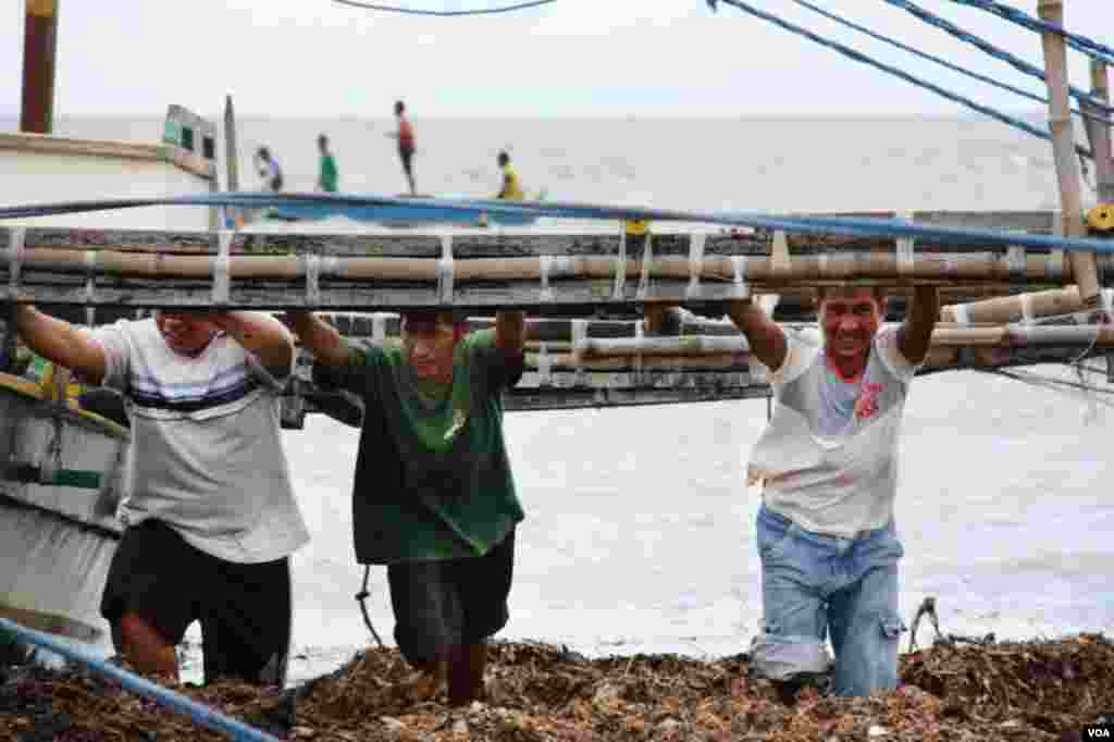 风暴要来了，大家齐心协力收好渔船。