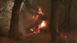 加州大風繼續助長野火蔓延