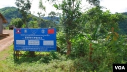 中国和老挝政府联合推出的罂粟替代种植项目。（美国之音朱诺拍摄，2013年8月11日）