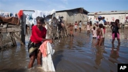 一名海地妇女在洪水造成的积水中洗衣物和床被。（2014年11月4日）