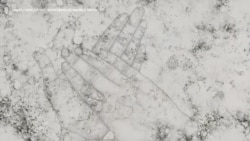 病毒是人类的敌人 也是艺术家的主题