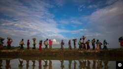 罗兴亚人2017年11月被迫逃亡孟加拉国（路透社）