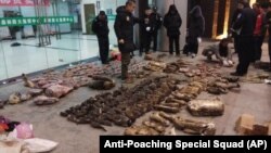 2020年1月9日反偷獵特遣隊照片: 警方在安徽省廣德市調查查獲的野生動物。