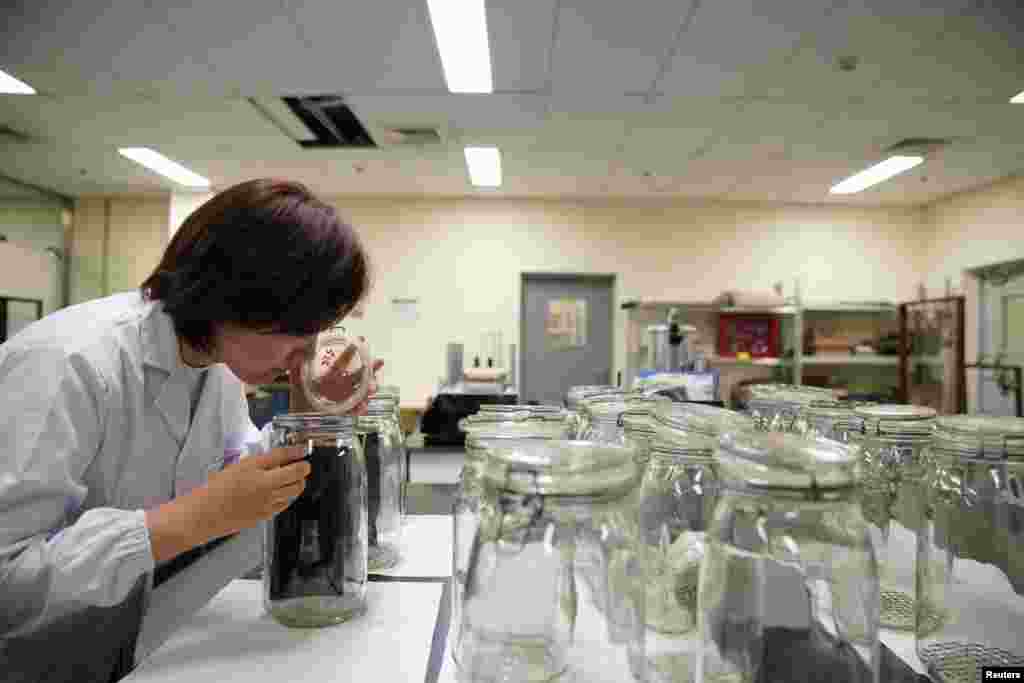 ម៉ាស់ត្រូវបានបំពាក់លើក្បាលម៉ាណឺកាំងនៅខាងក្រៅហាងមួយក្នុងក្រុង Sarajevo ប្រទេសបូស្នី។&nbsp;