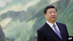 中國國家主席習近平(資料圖片)