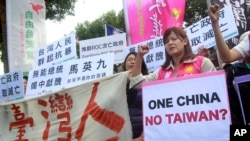 台湾示威者抗议马英九会见习近平 (2015年11月4日)