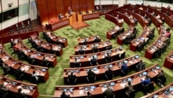 學者評論北京兩會不滿愛國者治港立法會議員表現不濟