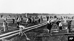 历史照片：在河南省某人民公社集体劳动的农民。(1959年9月17日)