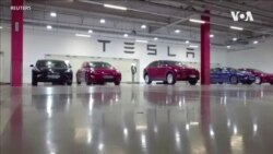 保證成本低過中國 新德里促特斯拉在印度辦廠