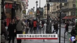 IMF：全球经济上扬 发展中国家风险增加