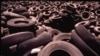 New research could result in tires that biodegrade and recycle easily. 
