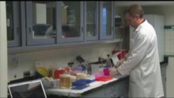 美国万花筒：科学家发现导致早产的6种基因