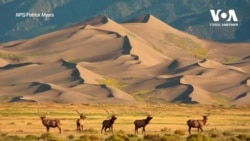 Пустеля поміж засніжених гір у штаті Колорадо. Відео