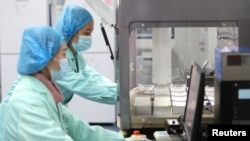 位於雲南昆明的中國華大基因集團實驗室的科技人員在工作。（2018年12月26日）