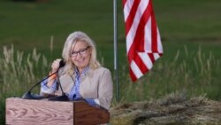 宣佈退休或初選失敗 十名支持彈劾特朗普的共和黨眾議員僅兩人有可能留在國會