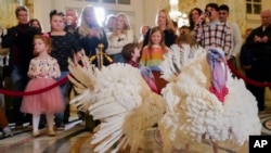 Dos pavos, llamados Liberty y Bell, que recibirán un perdón presidencial en la Casa Blanca antes del Día de Acción de Gracias, asisten a su conferencia de prensa, el domingo 19 de noviembre de 2023, en el Hotel Willard InterContinental en Washington.
