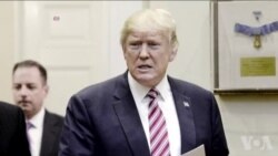 FBI和国安局两局长就窃听指控到国会作证