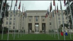 联合国人权办公室调查委内瑞拉暴力冲突