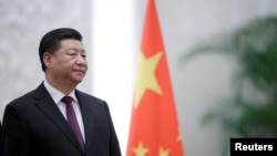 中国国家主席习近平在北京人民大会堂。（2018年12月10日）