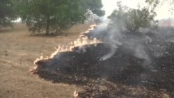 北加州纳帕酒乡再度爆发野火