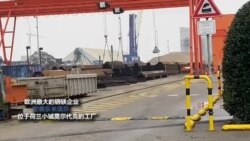 学者忧特朗普的钢铝关税引发美欧经济战，但欧洲钢铝企业反应低调