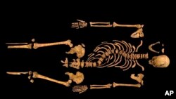 英皇理查三世的骸骨