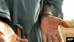 活动人士担忧非洲圈地伤害当地农民