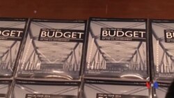 2017-05-01 美國之音視頻新聞: 美國國會就本年度聯邦預算達成協議 (粵語)