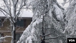 ພະຍຸລະດູໜາວໃນ ເມືອງ ອາເລັກຊານເດຣຍ ລັດເວີຈີເນຍ