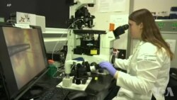 年终报道：2018科学界的进展