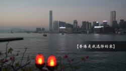 黎智英助手：香港人是習近平送世界的禮物