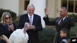 美國總統奧巴馬赦免火雞