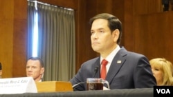 被美國當選總統唐納德·特朗普提名為國務卿的馬可·魯比奧出席美國國會參議院外交委員會對他的提名確認聽證會。 (2025年1月15日，美國之音記者李逸華拍攝)