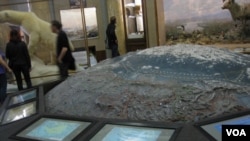 聖彼得堡極地博物館地圖上標誌的北極地區和東西伯利亞海。